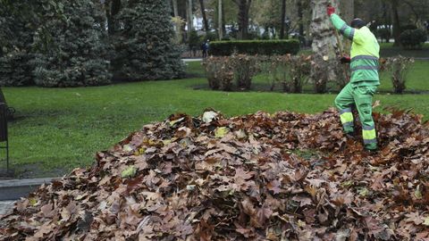Un jardinero trabajaja en el parque de San Francisco en Oviedo
