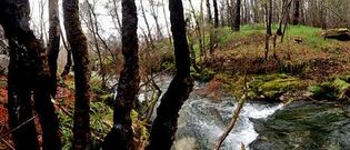 La Xunta deber� elaborar un plan de usos y gesti�n, que est� pendiente de elaboraci�n desde hace 13 a�os.