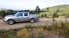 Recorremos una parte del monte Xiabre con la comunidad de montes de Cea