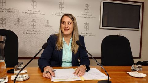 La diputada del PP Cristina Vega