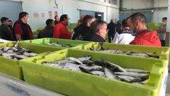 Sardinas a cuatro d�a de San Juan