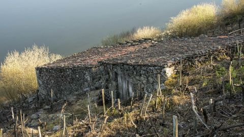 Bodegas en Os Bacelos