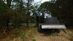Un lucense muri� el pasado verano durante una tala forestal