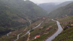 El plan de ordenaci�n afectar� a las construcciones situadas en la ribera chantadina de San Fiz de Asma