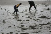 Furtivos mariscando en la r�a de O Burgo, en una imagen de archivo. 