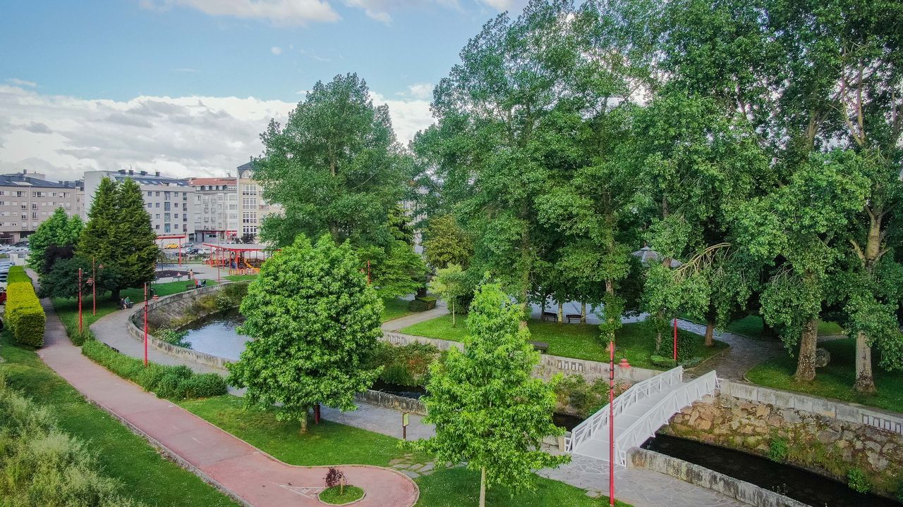 Carballo talará una veintena de chopos en el Parque do Anllóns