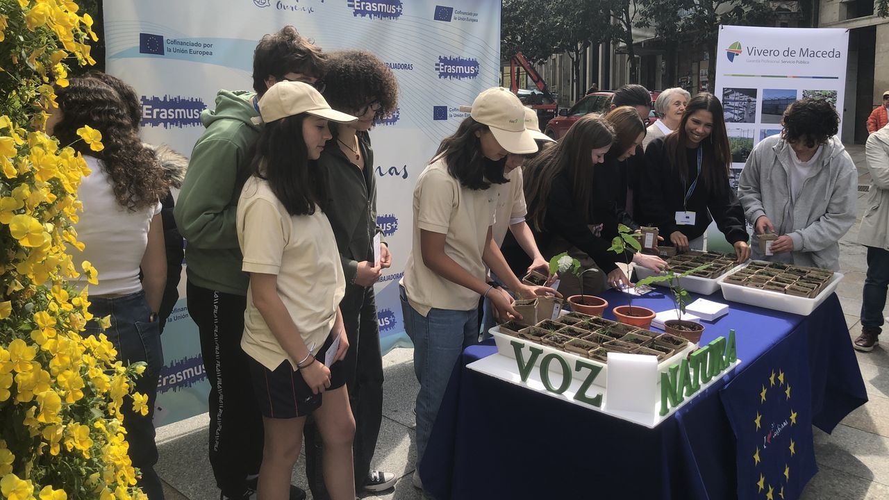 El colegio Josefinas de Ourense gana el premio Galicia de Voz Natura