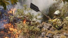 Las brigadas trabajando en los montes de Ombra