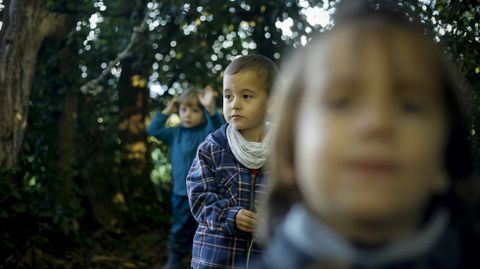 Escuela Bosque Amadahi