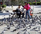 Pontevedra mantiene un saldo vegetativo positivo ininterrumpidamente desde 1997. 