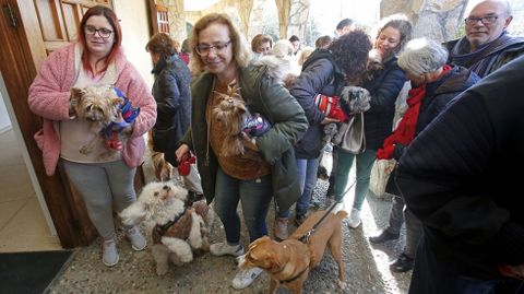 Bendici�n de mascotas en la iglesia de Campolongo