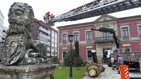 La segunda se tal� el pasado jueves