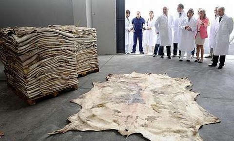 La compa��a lleva a cabo una actividad de aprovechamiento de unas 18.000 pieles al a�o.