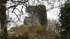 Una de las paredes de la Torre de Aez, en Lugo, se derrumb� hace unos d�as