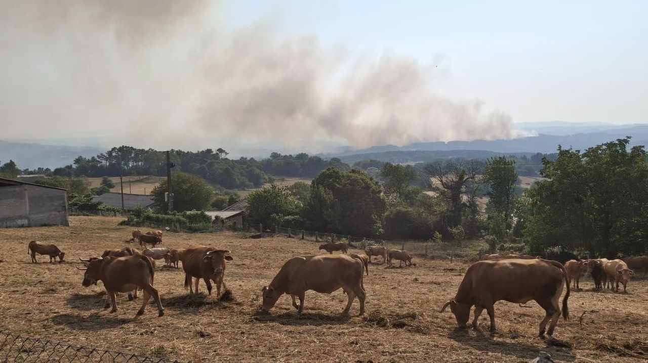 La Xunta contrata 49 personas en paro para prevención del fuego en el sur de la provincia