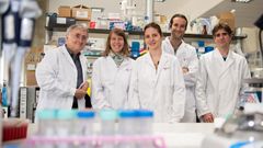 Investigadores del Instituto de Investigaciones Biom�dicas August Pi i Sunyer (IDIBAPS) encargados del estudio que desvela el funcionamiento del genoma de la leucemia