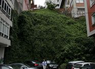 Aspecto de la zona donde est� el ascensor