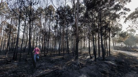 Estado este lunes de una de las �reas de Ponteceso que se vio afectada por las llamas.