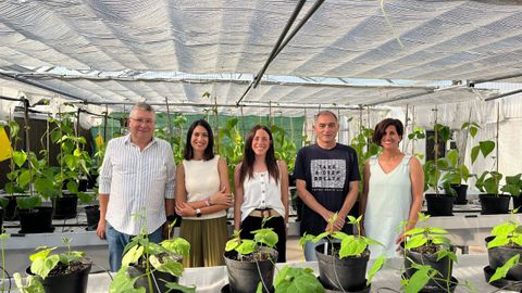El equipo de investitaci�n del proyecto Legume Generation. De izquierda a derecha, el responsable del equipo de Gen�tica Vegetal, Juan Jos� Ferreira; la investigadora Ana Campa, la estudiante predoctoral Mar�a Jurado, el investigador del �rea de Tecnolog�a de los Alimentos Roberto Rodr�guez, y la investigadora Carmen Garc�a, en uno de los invernaderos donde se realizar�n ensayos