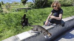 Pilar Villamar�n, con algunos de los gatos de la colonia de Caranza. 