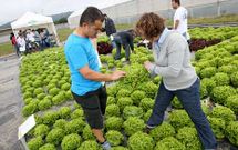 Los productos se mostraron en los terrenos de la cooperativa de O Val.