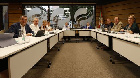 La Ejecutiva del PNV reunida este lunes para analizar los resultados electorales