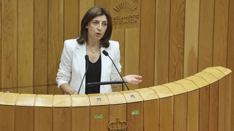 La conselleira de Medio Ambiente, �ngeles V�zquez, en una comparecencia reciente en el Parlamento