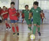 El Porto de Burela fue el mejor equipo prebenjam�n. 