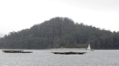 Tambo est� en el coraz�n de la r�a de Pontevedra