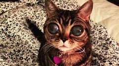 La vida de Matilda, en im�genes