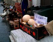 En este puesto de huevos y aves se anuncia el cobro con tarjeta.