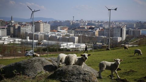 El viento siempre se ha usado como fuente de energa, antiguamente en los molinos y hoy en los modernos generadores elicos