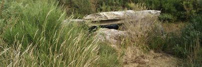 La Arca da Piosa, en Zas, casi oculta entre la maleza. 