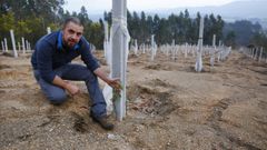 �Se non se agrupara a terra non me ter�a posto a plantar vi�edos�