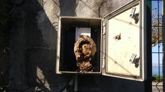 Un nido de velutina formado dentro de la caseta de un contador (imagen cedida por la Conseller�a de Presidencia)