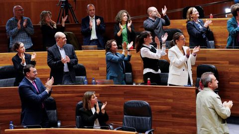 El parlamento asturiano ha dado este mi�rcoles luz verde a la Ley LGTBI+, una normativa que empez� a impulsarse la legislatura pasada, hace siete a�os, y que finalmente ha sido aprobada con el respaldo de los grupos de la izquierda, Partido Popular y Foro, y la �nica oposici�n de los cuatro diputados de Vox