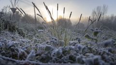 Imagen de las heladas en Portanxil, Ames