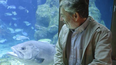 Francisco Armesto se despide del Aquarium de A Coru�a:���Dar espect�culo? No, nuestro fin siempre fue educar�