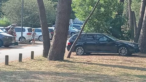 Desconocidos retiraron bolardos para aparcar en zonas verdes