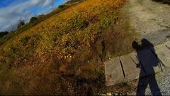 �Santiago�s Way�