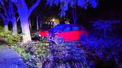 El turismo sufri� una salida de v�a e impact� contra un roble