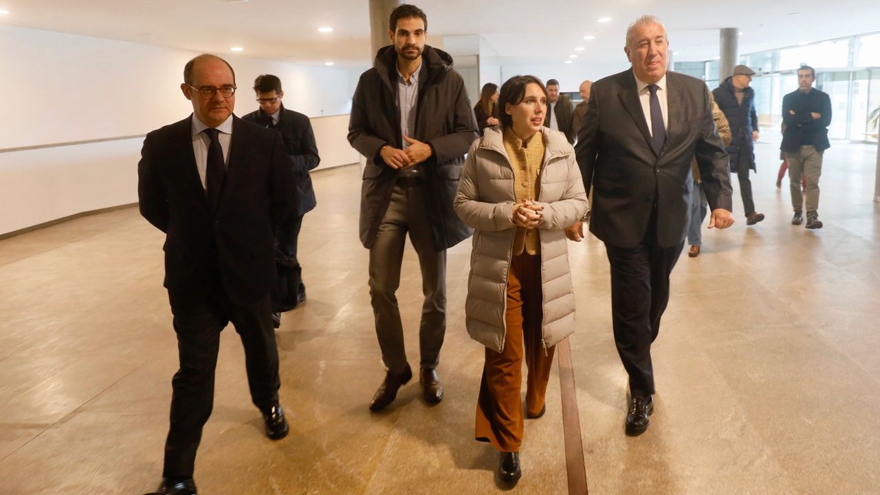 El 22 enero entran en vigor las ayudas autonómicas para comprar coches eléctricos o de bajas emisiones