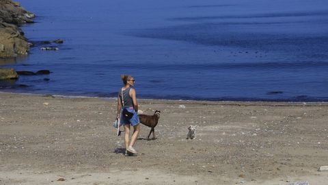 La playa canina de Bens, A Coru�a