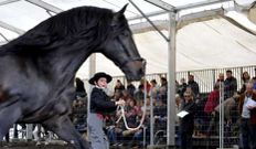 Momento de la feria cabalar de Pascua de este a�o. 