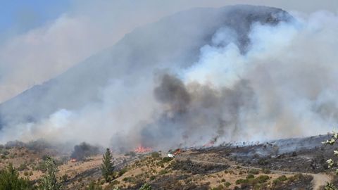 Las llamas y el humo que provocan en los alrededores de la localidad de Fasgar, en el municipio leonés de Murias de Paredes.