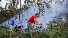 El �ltimo incendio en T�llara calcin� unas 60 hect�reas el verano pasado