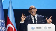 El secretario de la ONU de cambio climtico, Simon Steill, hizo un llamamiento  urgente a la accin durante la apertura de la cumbre