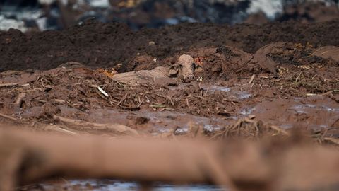 Brumadinho, la localidad brasile�as borrada del mapa por el lodo