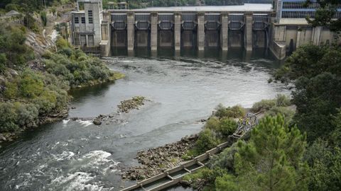 Embalse de Frieira (Padrenda).