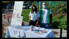 En el mercado de Burela. La AECC ofreci� este viernes informaci�n en una mesa que instal� en el mercado semanal. Esta tarde organizar� un concierto de viol�n y piano en Lourenz�